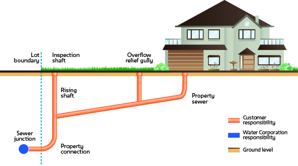 Diagram showing where the responsibilities lie between Water Corporation and the proper owner for sewer plumbing